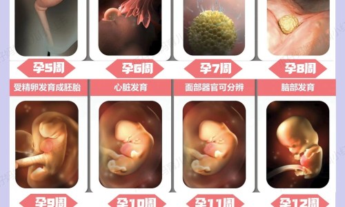 怀孕可以吃冰红茶吗？怀孕吃什么比较好